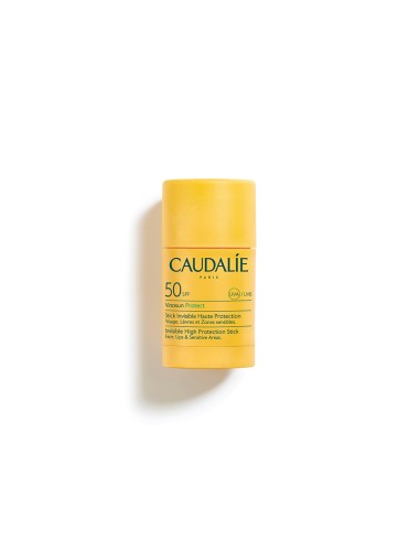 CAUDALIE VINOSUN PROTECT STICK
