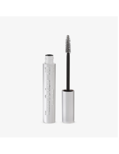 VITRY MASCARA PRO EXPERT NEGRO