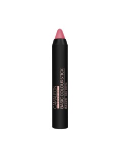 CAMALEON BASIC COLOURSTICK...