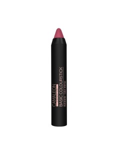 CAMALEON BASIC COLOURSTICK...