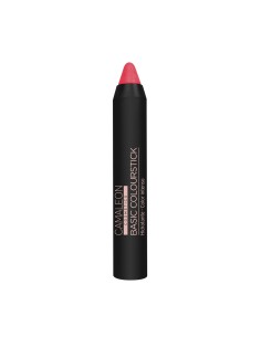 CAMALEON MAGIC STICK LABIAL...